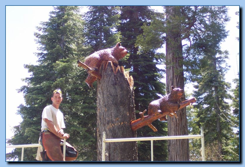2-39 bears attached to tree-archive-0008